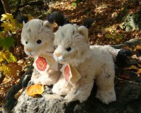 /album/rysi-mlade-bystroocko-teddy-hermann-hirschaid-nemecko/rysi-mlade-bystroocko-teddy-hermann-hirschaid-plysove-zviratko-hracka-plysak-plysoun-z-nemecka-mekky-praci-panenkov-R-22-jpg1/